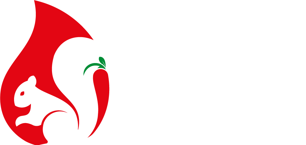NeuroSpicy